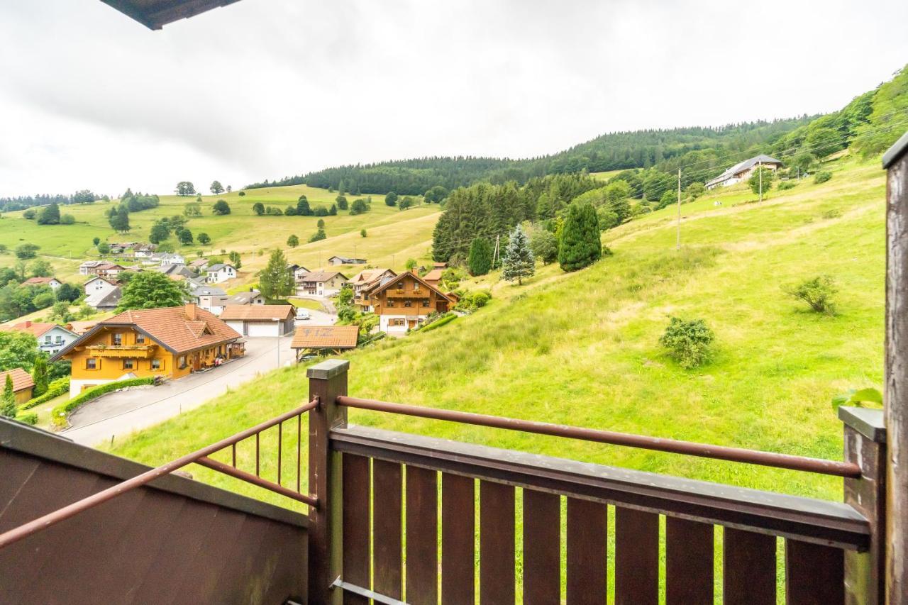 Winter-Nest Apartman Todtnau Kültér fotó