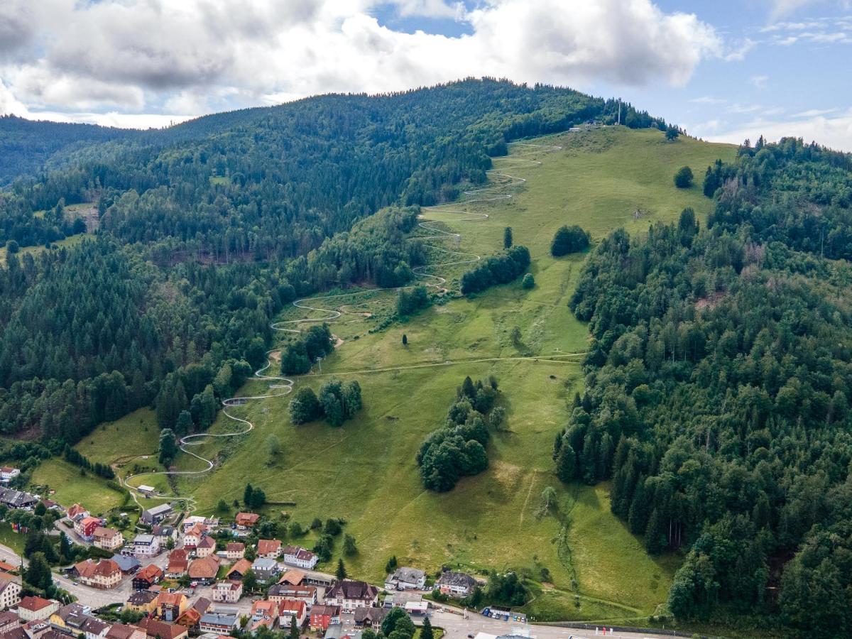 Winter-Nest Apartman Todtnau Kültér fotó