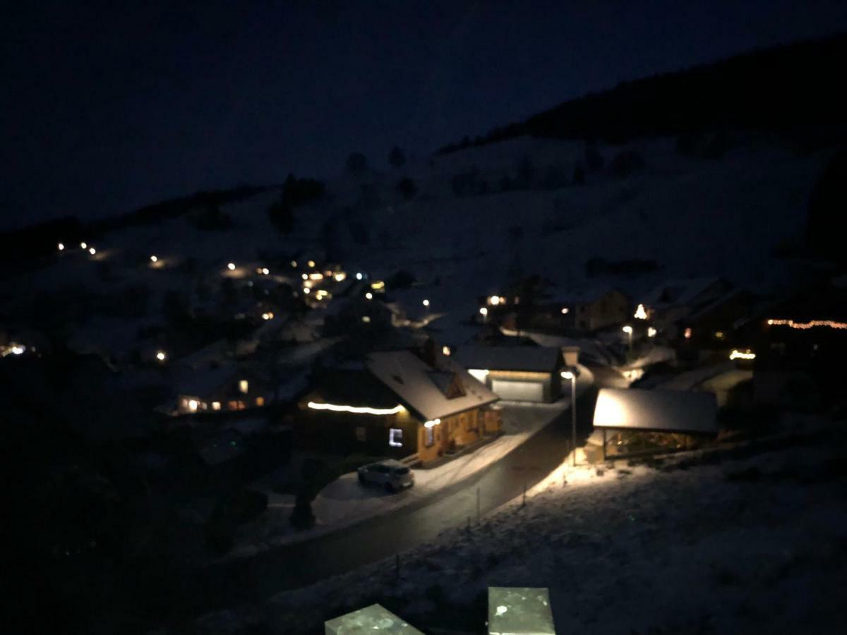 Winter-Nest Apartman Todtnau Kültér fotó